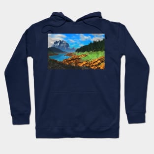 Northern Solitude Hoodie